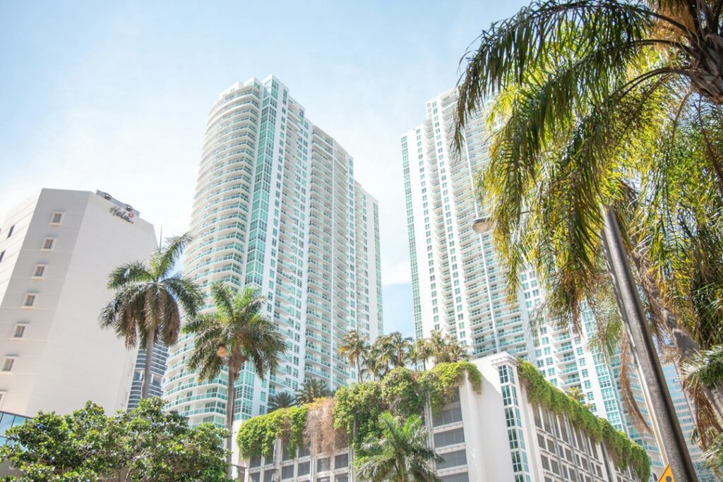 Palm trees in front of white high-rise apartment buildings in Miami