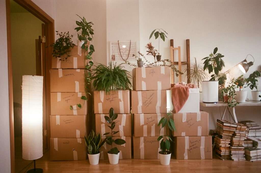 Stacked moving boxes ready for a move